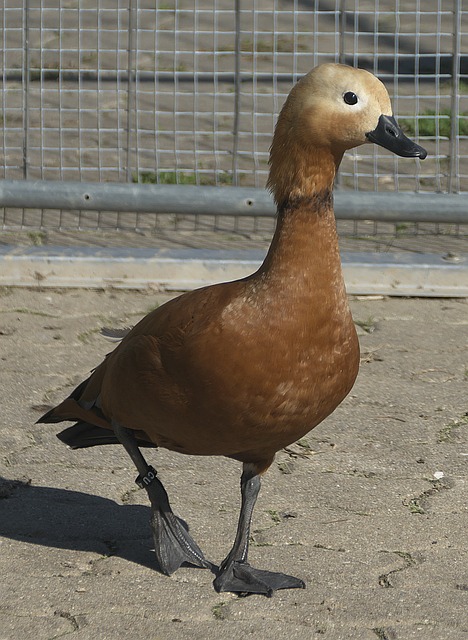 美结合闻名