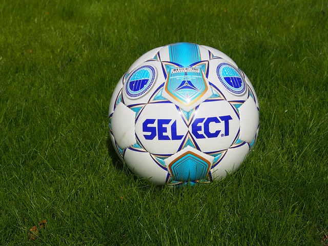 著對杜鋒的 著對杜鋒的