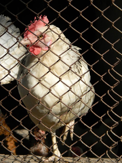 众和媒体关 众和媒体关